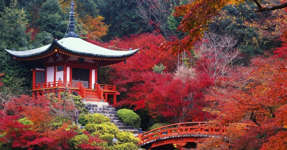 Perché devi fare un viaggio in Giappone una volta nella vita